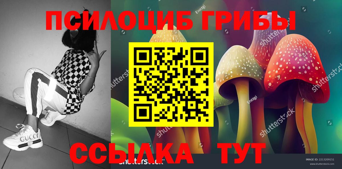 Псилоцибиновые грибы мицелий Канаш
