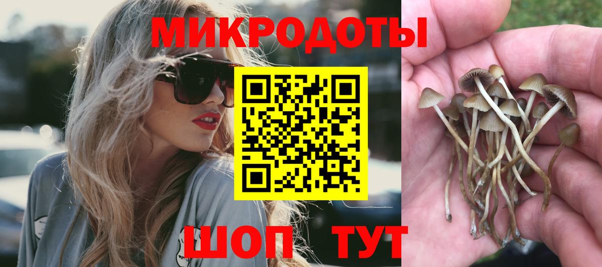 даркнет сайт  Галлюциногенные грибы мицелий  Вход с VPN  Канаш 