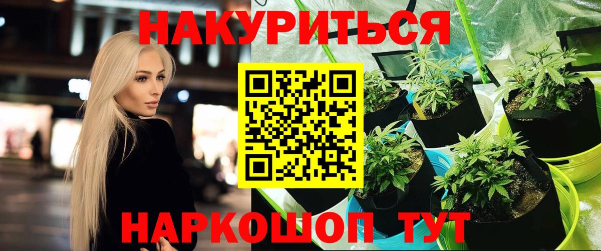 Бошки Шишки планчик Канаш
