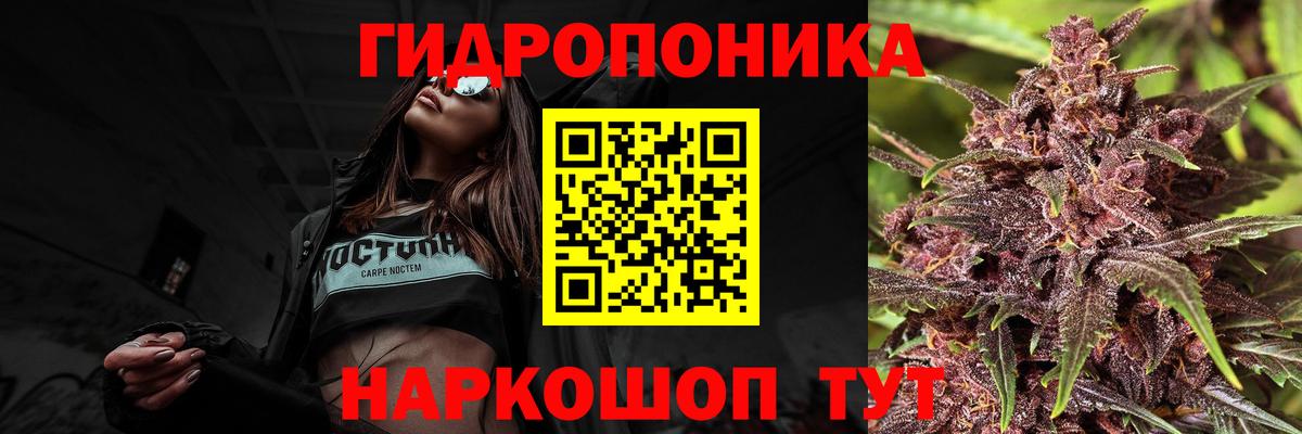 Шишки марихуана VHQ  Вход с VPN  Канаш  Конопля семена 